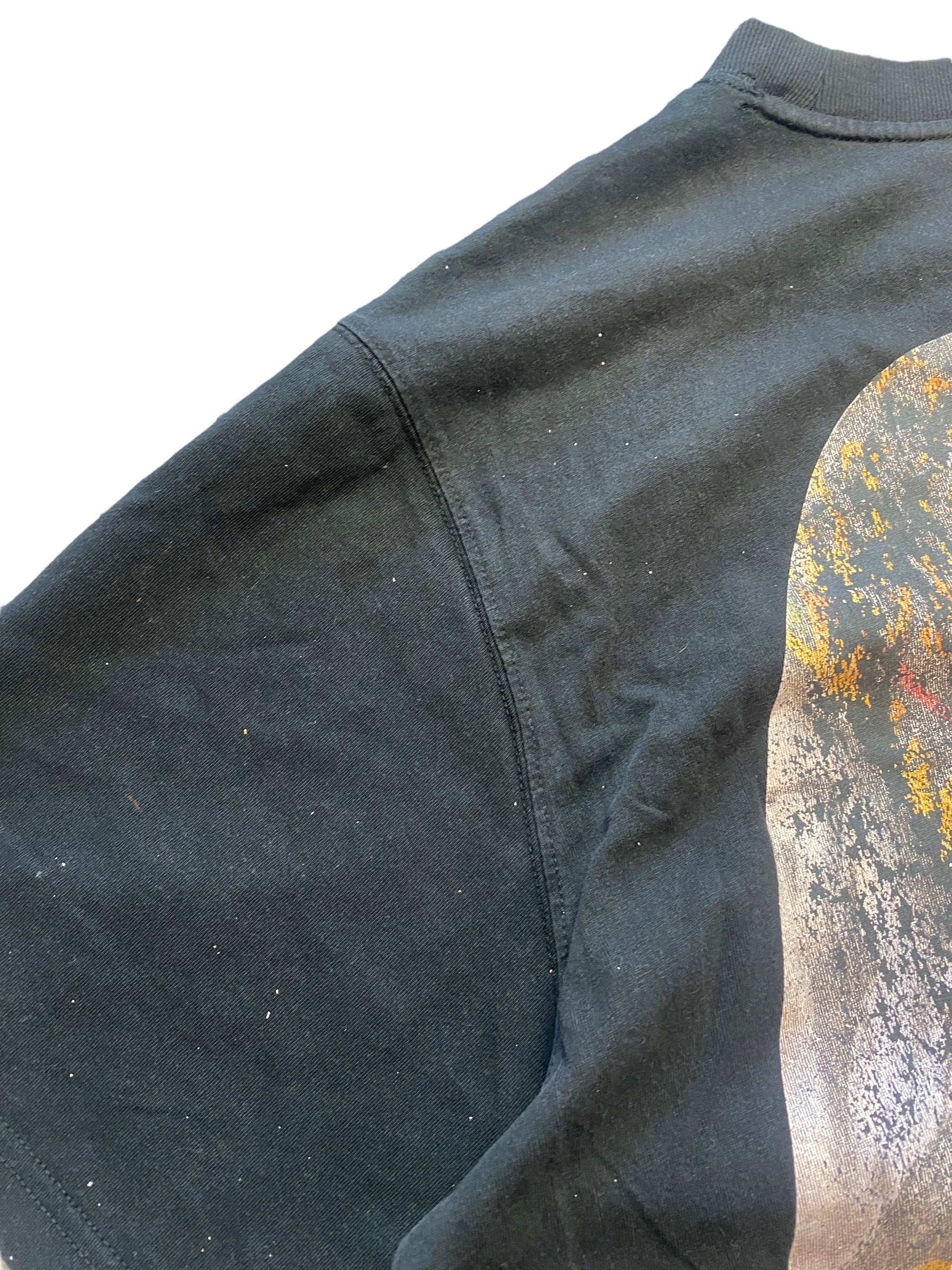 Camiseta Evisu tigger landscape vintage